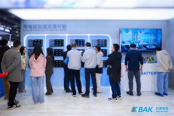 BAK Battery,2170-50D2,Tabless Lithium Battery