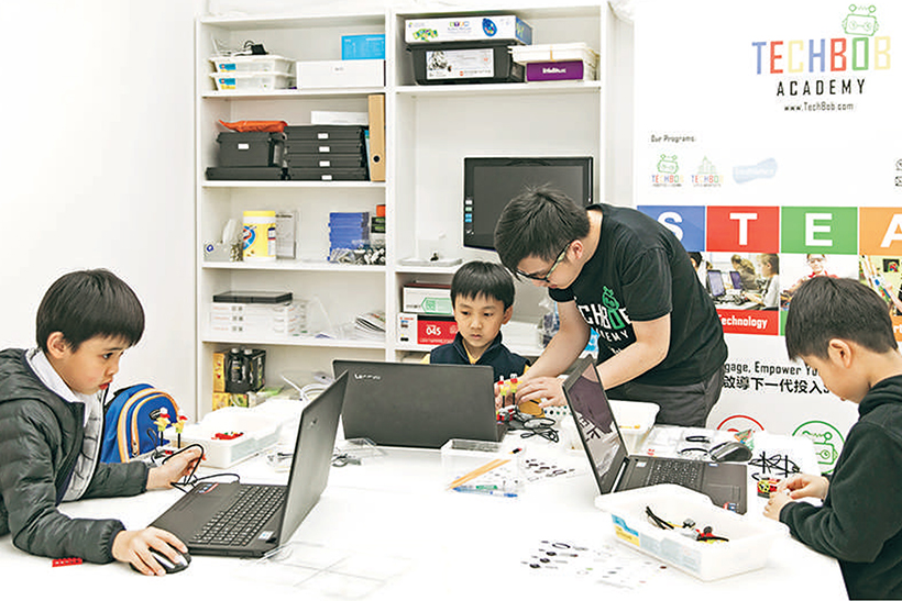 Techbob Academy,Tech Elite Incubation Program